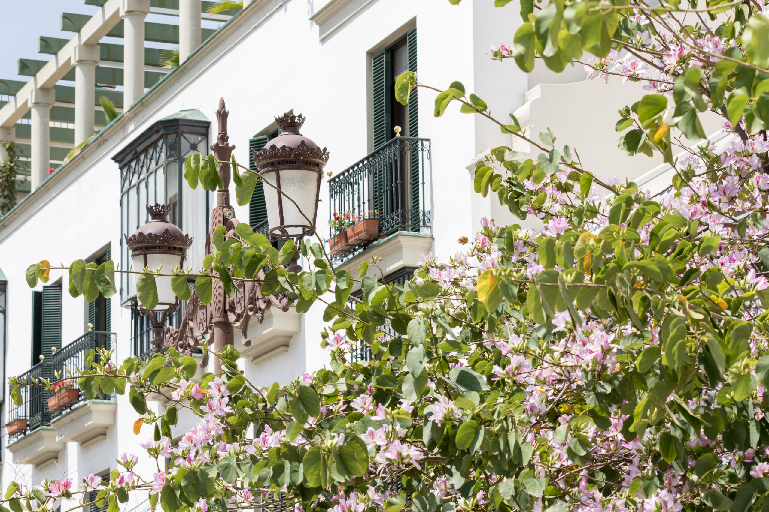 balcony-of-a-traditional-residential-building-with-2024-09-22-09-53-21-utc